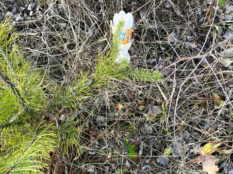 участок по адресу 