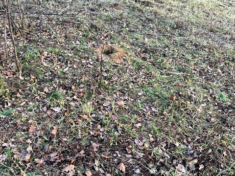 участок по адресу 