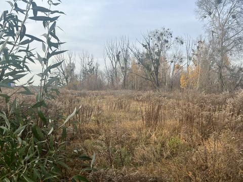 ділянка за адресою с. Литвинівка, Лесі Українки