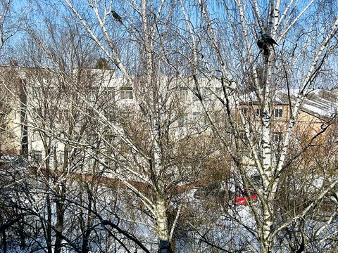 квартира за адресою Конякіна вул., 10