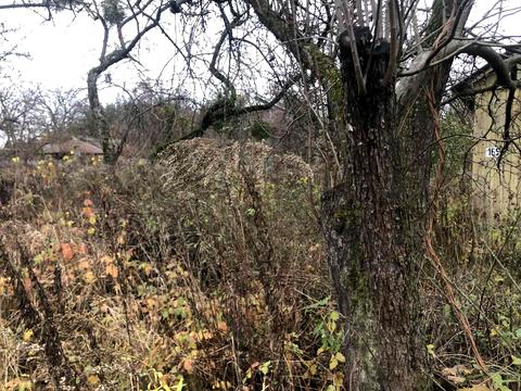 будинок за адресою Берестейський просп. (Перемоги)