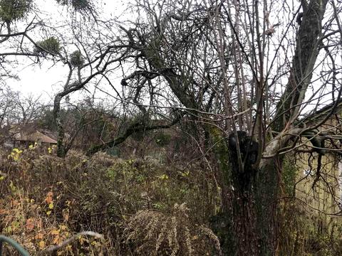 будинок за адресою Берестейський просп. (Перемоги)