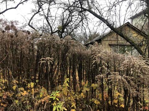 будинок за адресою Берестейський просп. (Перемоги)