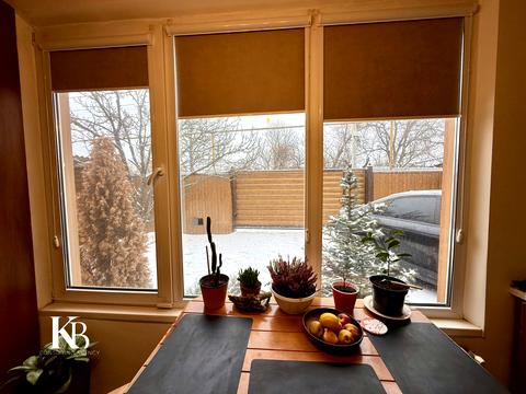 дом по адресу Большая Диёвская ул. (Братьев Трофимовых), 387