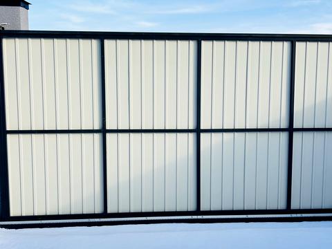 дом по адресу Академический пер.