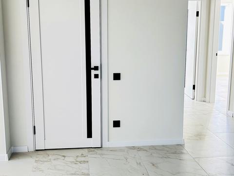 дом по адресу Академический пер.