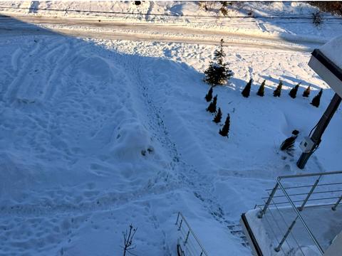 квартира за адресою смт. Рудне, Романа Шухевича вул., (Будинок)