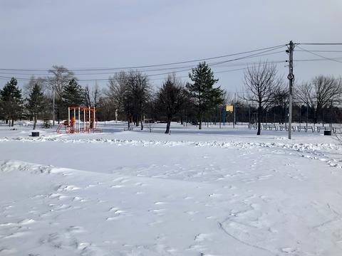 ділянка за адресою Хотянівка