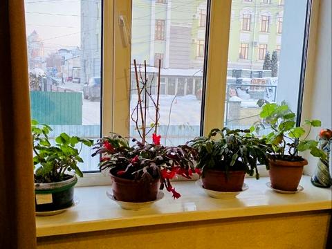 квартира за адресою Васильківська вул., 19/1