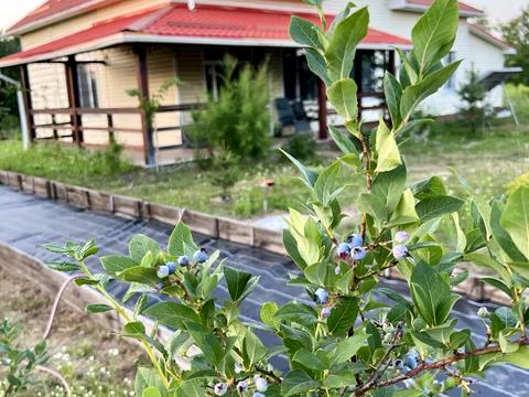 дом по адресу Житомирская ул.