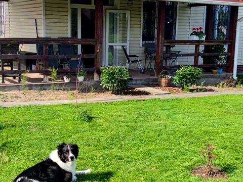 дом по адресу Житомирская ул.