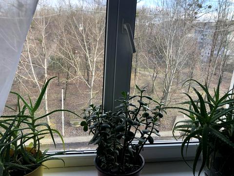 квартира по адресу Украинской Дивизии ул., 5