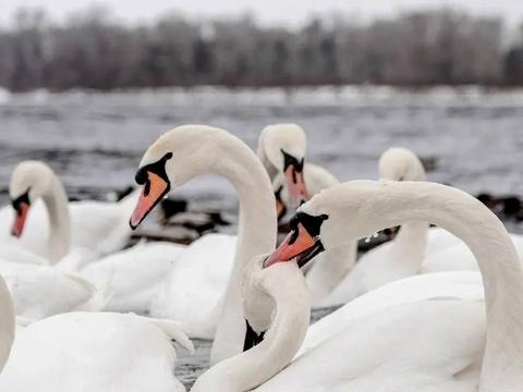 квартира за адресою Оболонська набережна вул., 1, к1