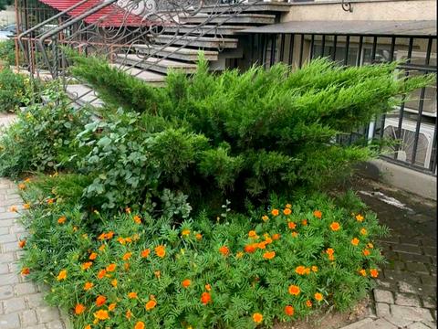 коммерческая по адресу Небесной Сотни просп. (Маршала Жукова), 3А/8