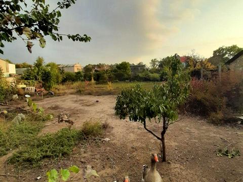 ділянка за адресою Вишнева, 8