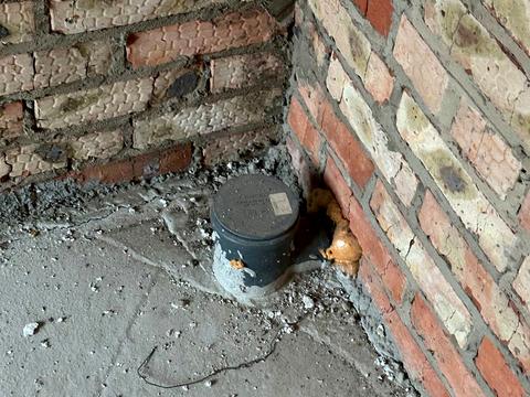 будинок за адресою с. Агрономічне, Соборна