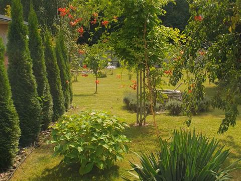 будинок за адресою Білозіра