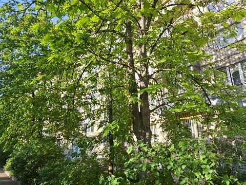 квартира за адресою Ігоря Шамо бульв. (Олексія Давидова), 7