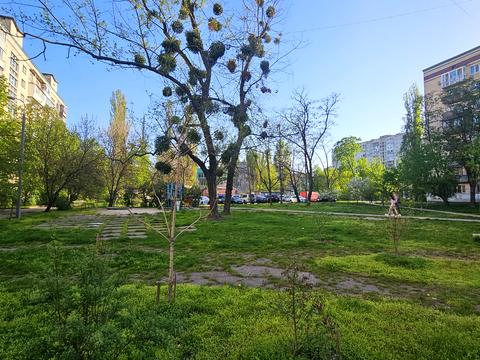 квартира за адресою Ігоря Шамо бульв. (Олексія Давидова), 7