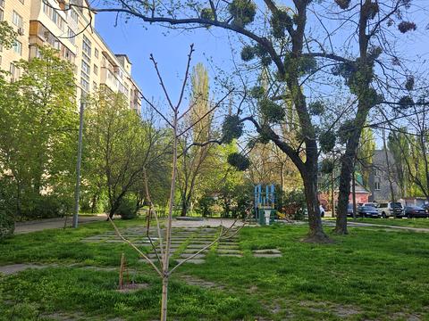 квартира за адресою Ігоря Шамо бульв. (Олексія Давидова), 7