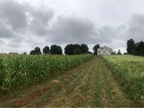 ділянка за адресою 