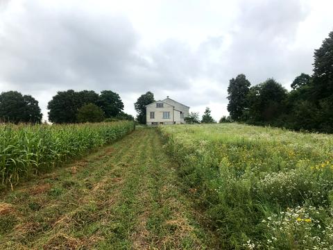 ділянка за адресою 