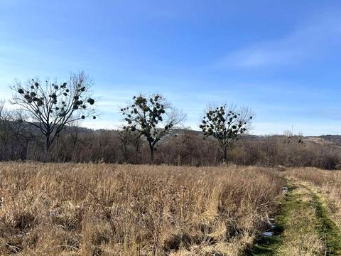 участок по адресу 