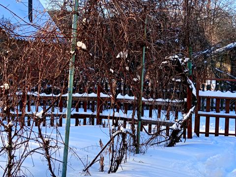 участок по адресу Хвойна, 1