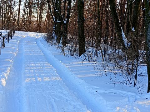 участок по адресу Хвойна, 1