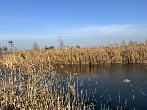 участок по адресу Андріівська, 1