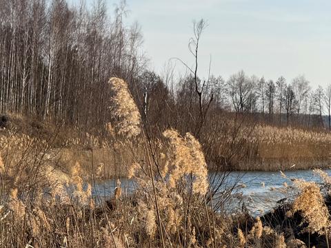 участок по адресу Андріівська, 1