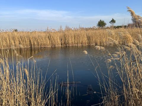 участок по адресу Андріівська, 1