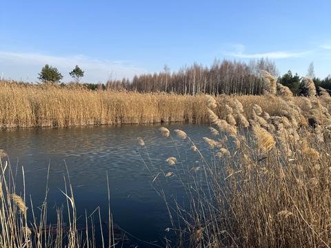 участок по адресу Андріівська, 1