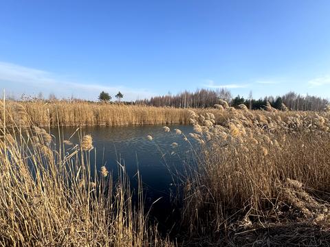 участок по адресу Андріівська, 1