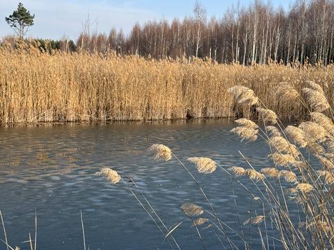 участок по адресу Андріівська, 1