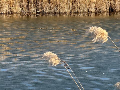 участок по адресу Андріівська, 1