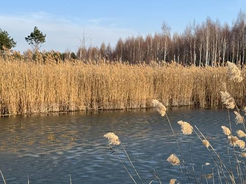 участок по адресу Андріівська, 1