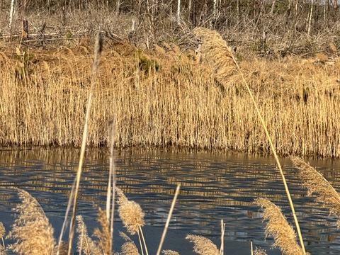 участок по адресу Андріівська, 1