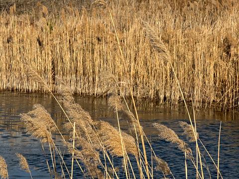 участок по адресу Андріівська, 1