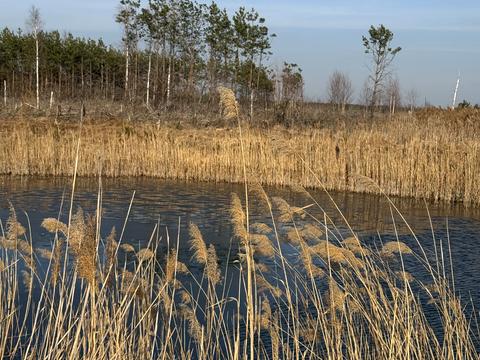 участок по адресу Андріівська, 1