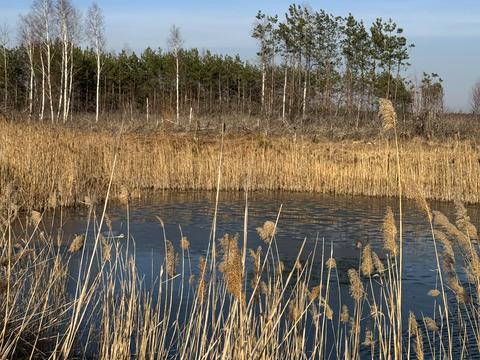 участок по адресу Андріівська, 1