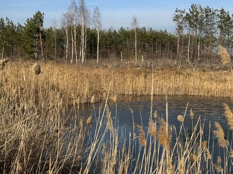 участок по адресу Андріівська, 1
