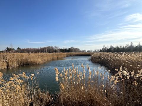 участок по адресу Андріівська, 1