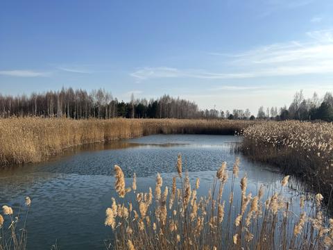 участок по адресу Андріівська, 1