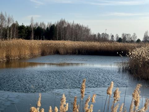 участок по адресу Андріівська, 1