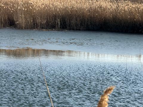 участок по адресу Андріівська, 1