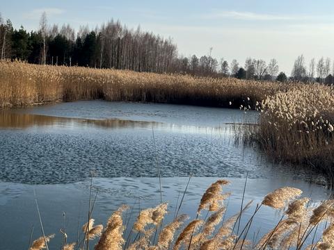 участок по адресу Андріівська, 1