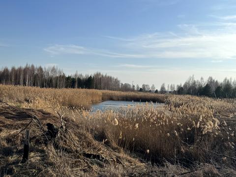 участок по адресу Андріівська, 1