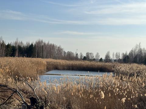 участок по адресу Андріівська, 1