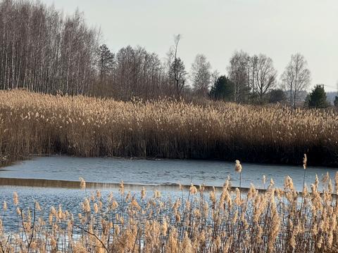 участок по адресу Андріівська, 1